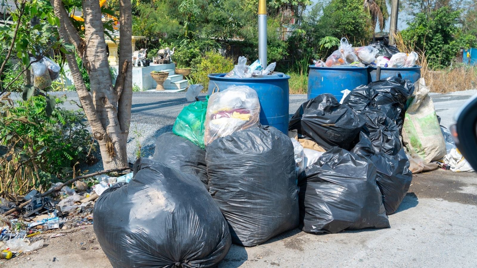 Junk Removal